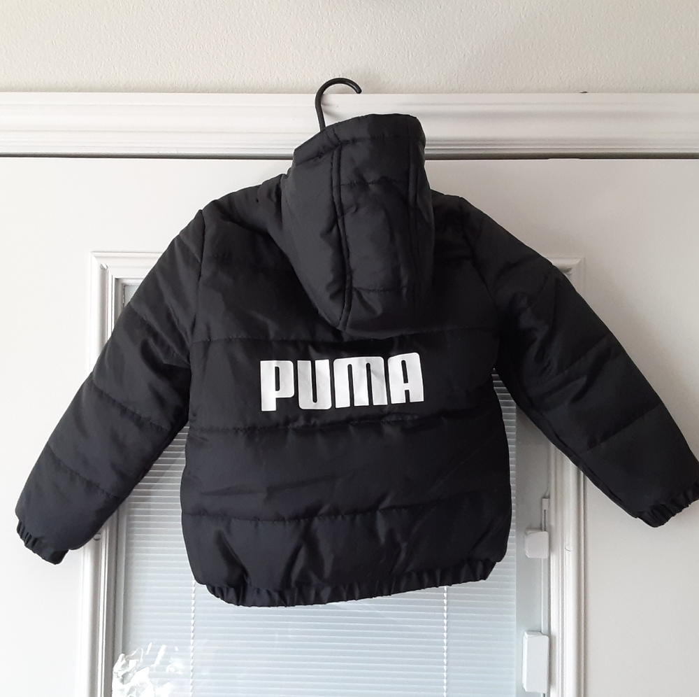 Puma - Picture 2 of 4